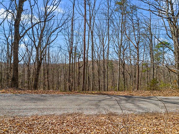 5th image of 657 Pecan Tree Ln