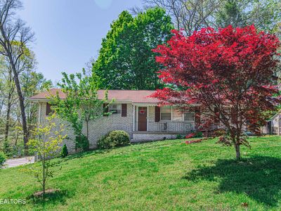 1731 Woodhaven Dr, Knoxville, TN, 37914