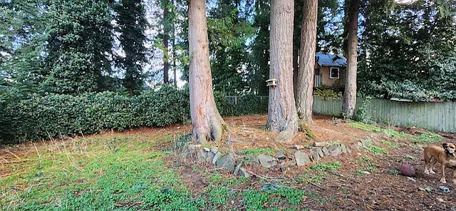 11301 31st Ave SE — Photo 3