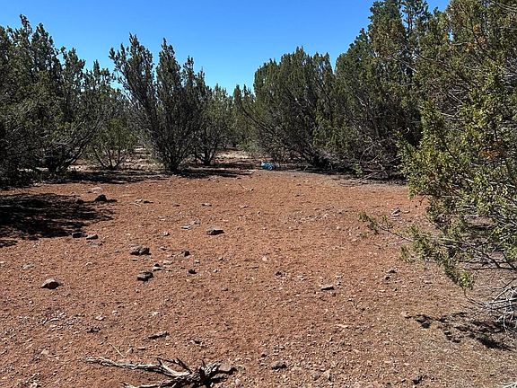 2nd image of 30 ACR 3190 Road #351