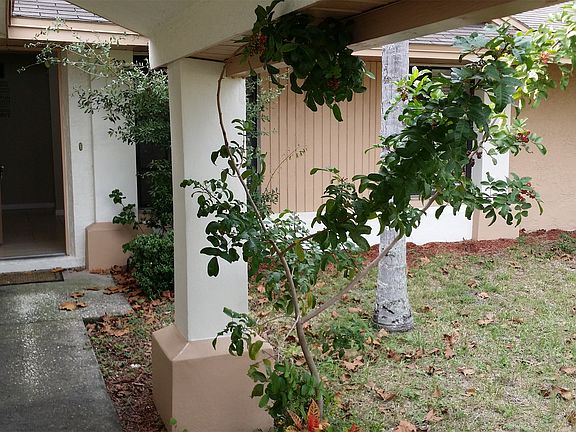 3rd image of 1227 Mandarin Dr