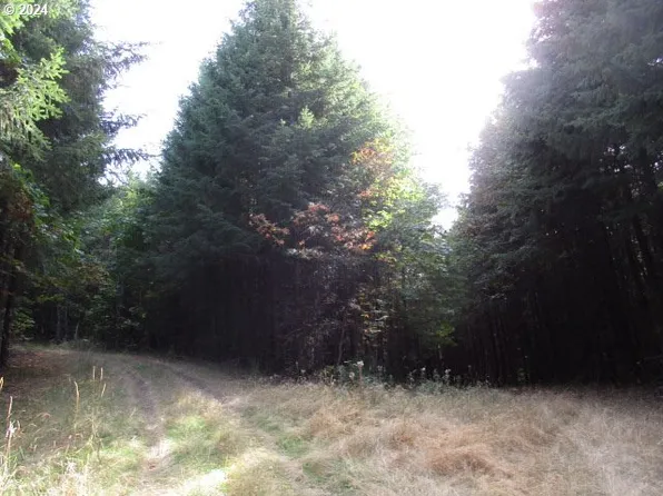 0 NW Crane Ln #2, Yamhill, OR 97148