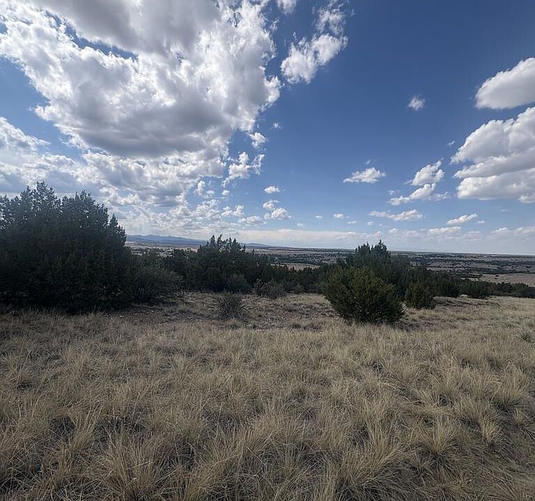 1st image of 558 Shavano Dr