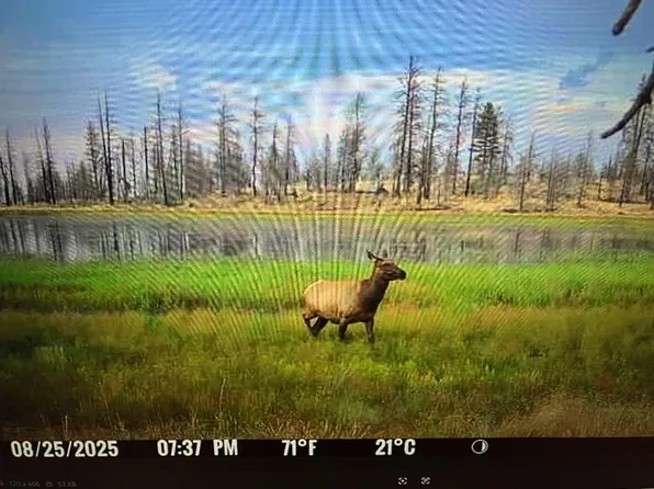 Mud Lake, Macdoel, CA 96058