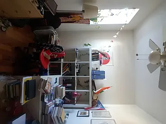 Rented by Urban Realty NYC