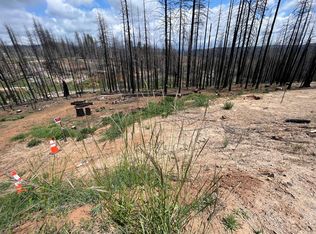 6740 Tyler Dr, Grizzly Flats, CA 95636