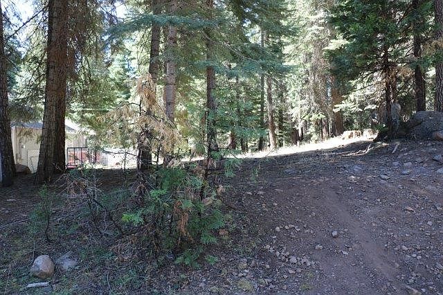 2nd image of 1235 White Fir Rd