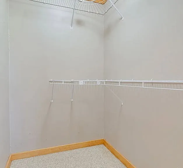 100 Bluegrass Cv — Photo 19