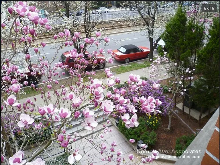 1930 Commonwealth Ave #622 — Photo 6