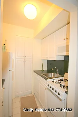 Rented by Citi Habitats | media 18