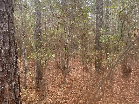 4th image of 111 High Way