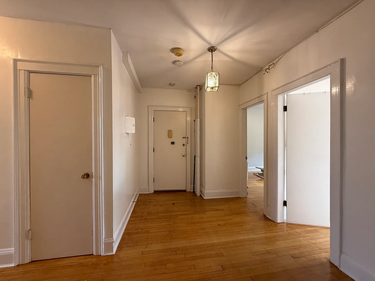 2 bed, 1.0 bath, 910 sqft, $3,500 — Photo 3