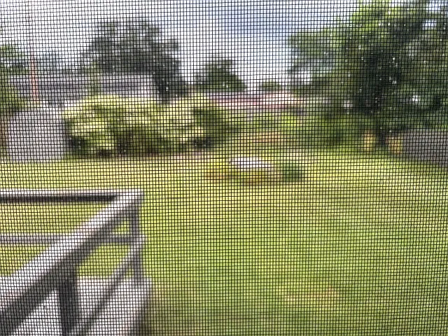 View of Fenced backyard