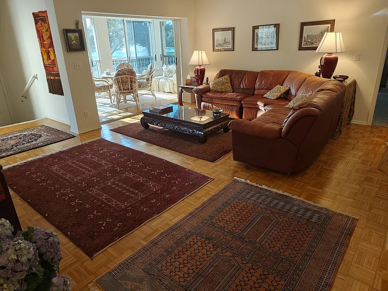 Living room with antic rugs