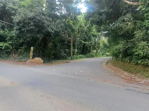 NE Barrio Mameyes, Rio Grande, PR 00745
