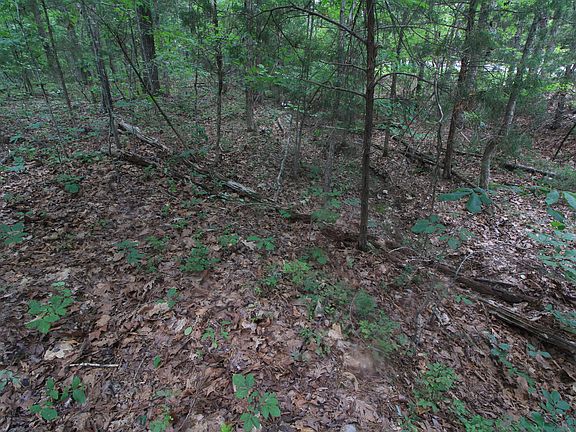 4th image of 0 Macdonald Rd Lot 2