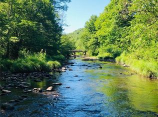 4/6 Cross Rd, Livingston Manor, NY 12758