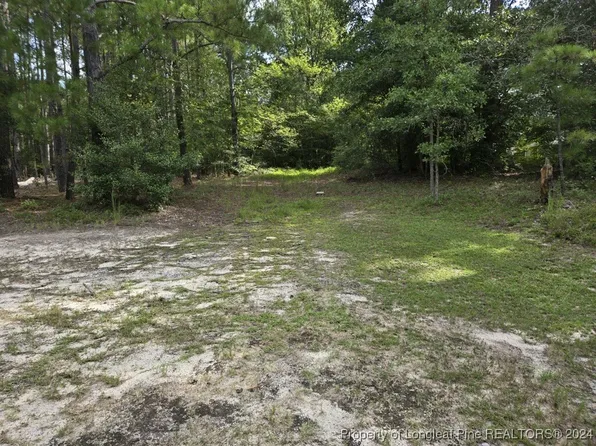 815 Morrison Bridge Rd, Vass, NC 28394