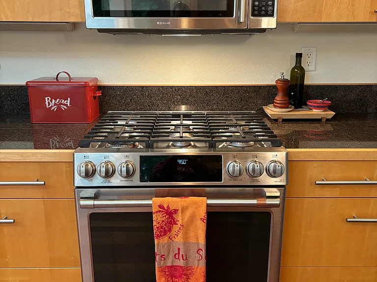 dual fuel gas range and electric oven
