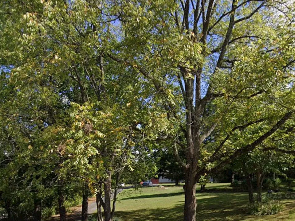 298 E Whitehall Rd