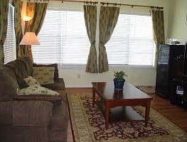 Family Room with Tons of Sun