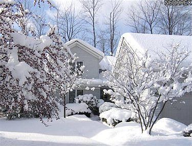 1st image of 632 Blue Spruce Trl