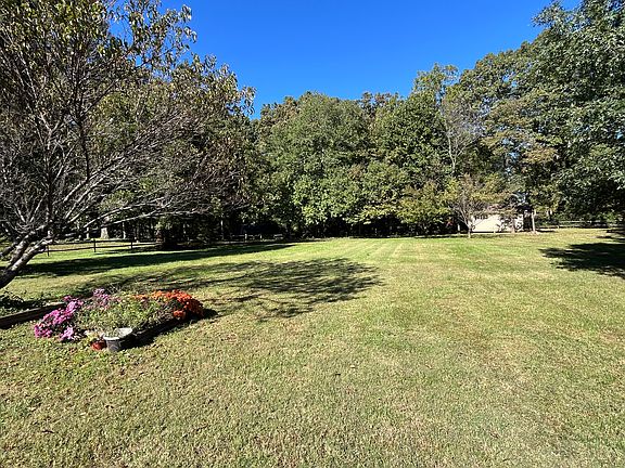 View of backyard from house