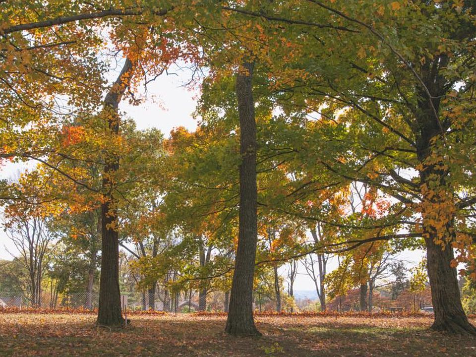 1st image of 1705 Woodsong Drive Lot #13