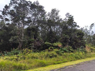 Old Volcano Rd, Volcano, HI, 96785