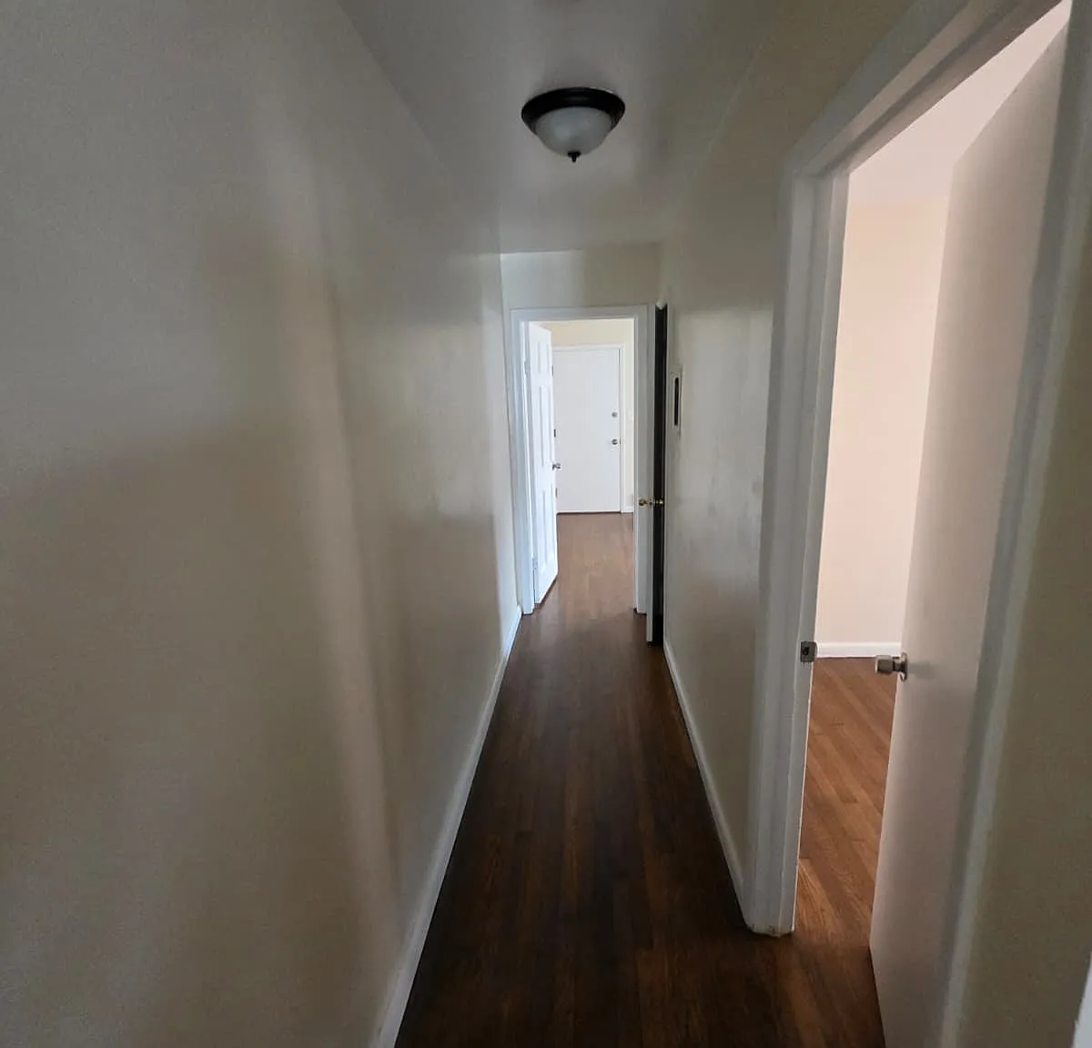 2 bed, 800 sqft, $2,495 — Photo 2