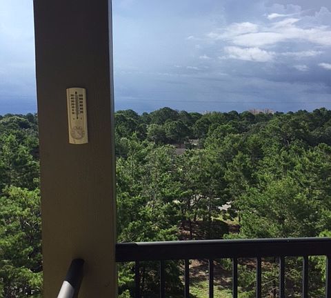 3rd image of 1430 Regency Rd Unit D402
