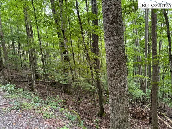 119 Raccoon Road, Beech Mountain, NC 28604
