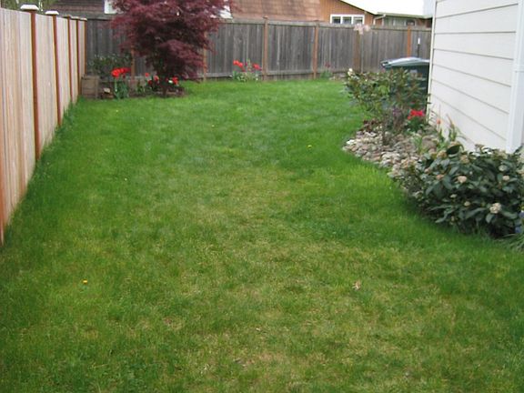 Fenced Backyard