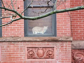 Rented by Fiddler Realty