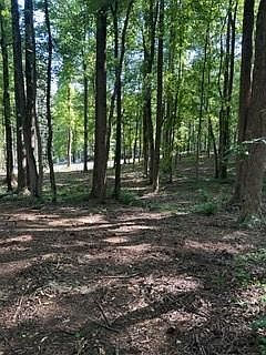 5th image of 46 Davis Rd