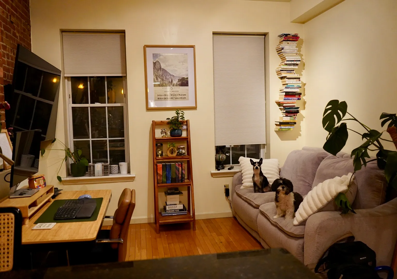 1 bed, 573 sqft, $3,100 — Photo 1