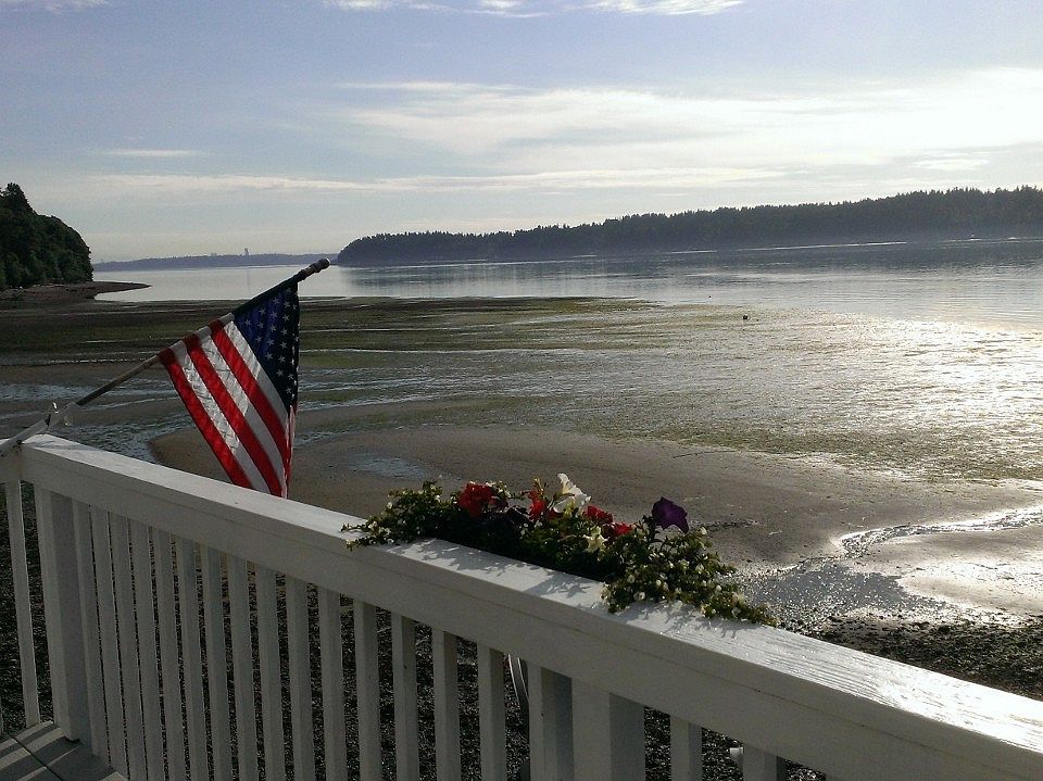 mocigoma♡ Adidas ZX 1000 The Simpsons Flaming Moes H05790 Fashion Shoes | eBay