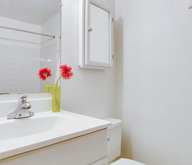 Hall bathroom features shower/tub combo.
