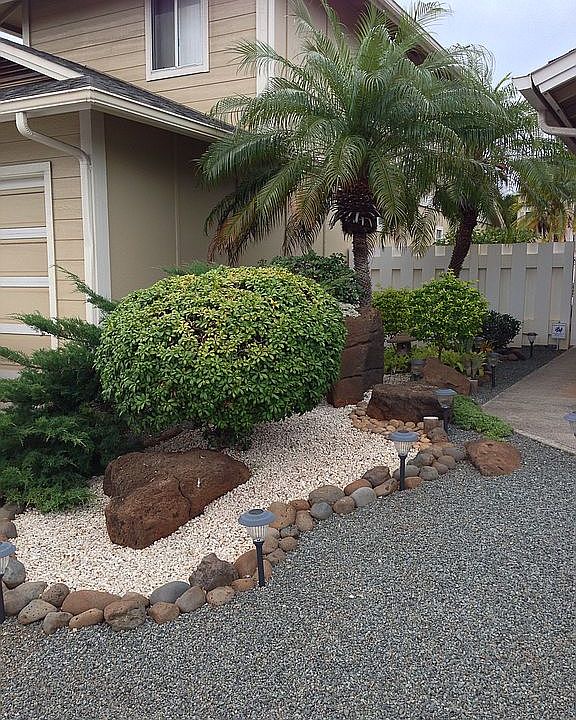 Lush Tropical Landscaping