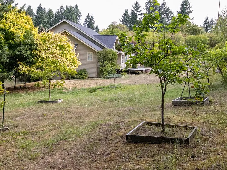 Fruit Trees