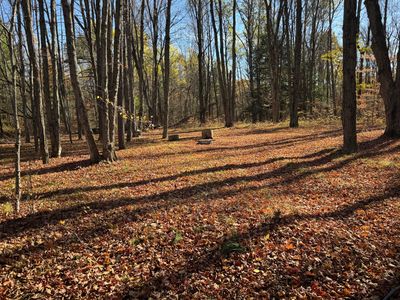 3610 Riverview Dr, Hersey, MI, 49639