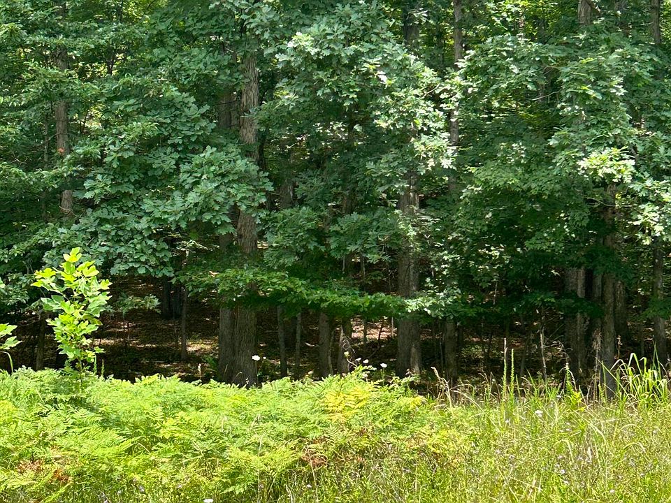 1st image of LOT 9 Buck Mountain Rd