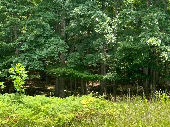 LOT 9 Buck Mountain Rd, Roanoke, VA 24018
