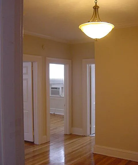 611 W Horatio St #5 — Photo 3