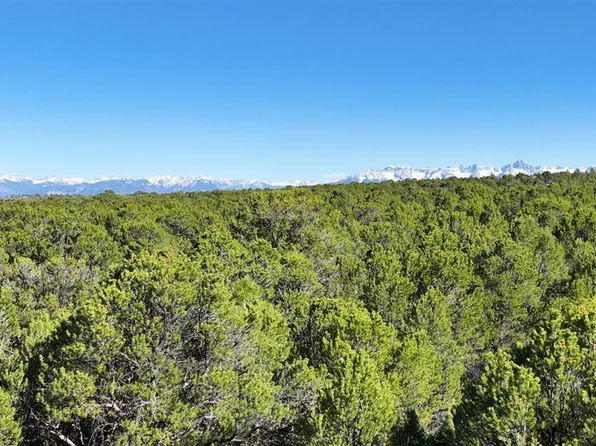 Lot 42 Bible Camp/Canyon Ridge Road, Montrose, CO 81403