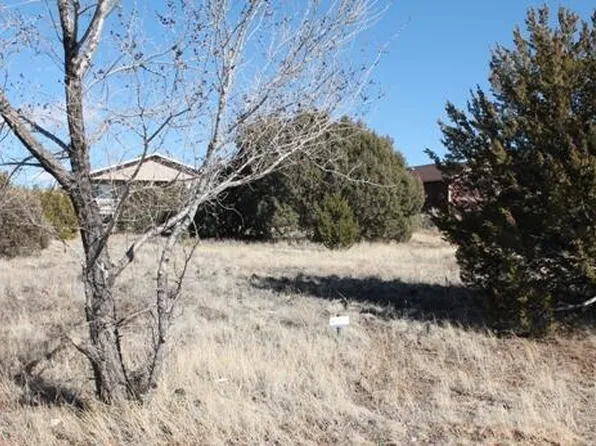 601 S Rock Ridge Dr, Show Low, AZ 85901