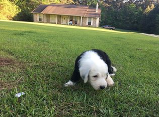 101 Daniels Rd, Pineville, LA 71423