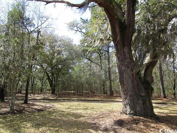 4th image of 35 Serenity Park Ln Lot 19 Harmony Old Town