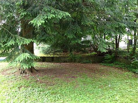 Peaceful fenced yard & mature evergreens