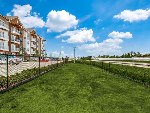 255 Assay Pet Park